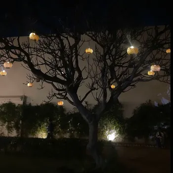 Sadaf - Best Home Tutor in Kakadeo, Kanpur