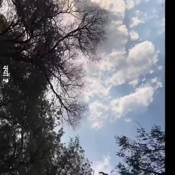 Stuti Shukla - Best Home Tutor in Barra, Kanpur