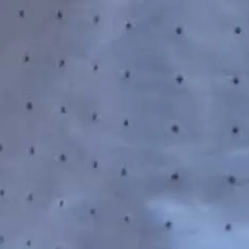 Dhananjay Rao  - Best Home Tutor in Kidwai Nagar, Kanpur