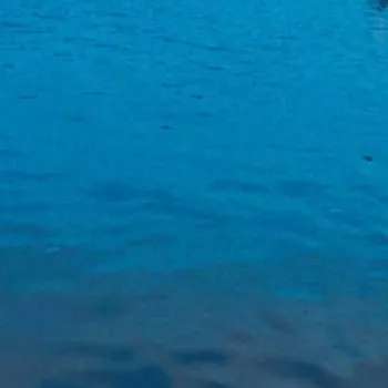 Kirti - Best Female Home Tutor in Kalyanpur, Kanpur